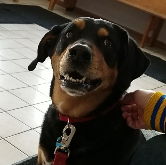 Meet the Posher 🤗 - Picture 3 of 3